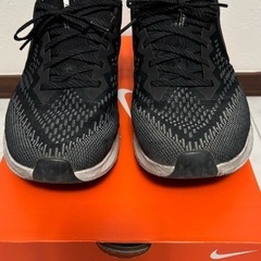 NIKE(ナイキ) ZOOM WINFLO 6⭐️サイズ27.5‼️の画像