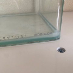 30センチ水槽の画像