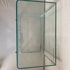 30センチ水槽の画像