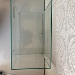 30センチ水槽の画像