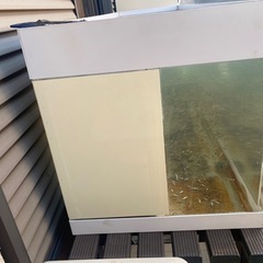 大型水槽の画像