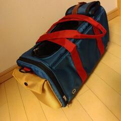 未使用 犬 ワンワン キャリー バッグ の画像