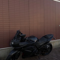 Kawasaki Ninja250R 