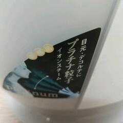 0213-076 スチーマーの画像