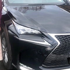 明日28日お持ちまして終了します❗️レクサスNX 200t F−SPORTの画像