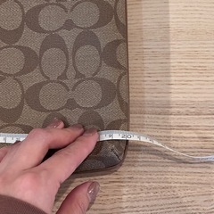 【値下げ】COACH ショルダーバッグの画像