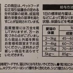 (ΦωΦ)ニャンコご飯の画像