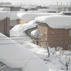 除雪のお手伝い
