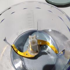 BRUNO マルチブレンダー 直営店限定カラーの画像