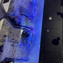 ニシキテッポウエビ水槽セットの画像