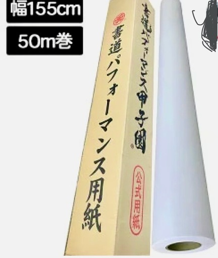 パフォーマンス用紙