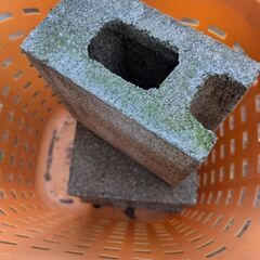 ブロックの画像