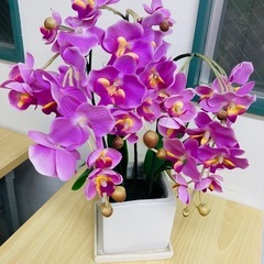 中古造花胡蝶蘭