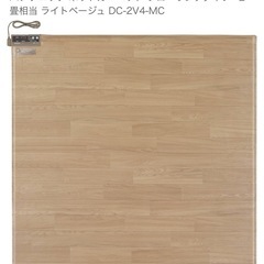 電気カーペット！！！