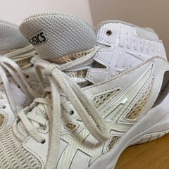 アシックス　ダンクショット　20cm
の画像