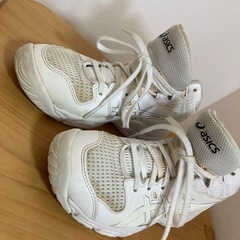 アシックス　ダンクショット　20cm
