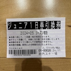 胎内スキー場　ジュニア　1日割引券　