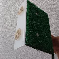 亀の陸地(大きいサイズ)の画像