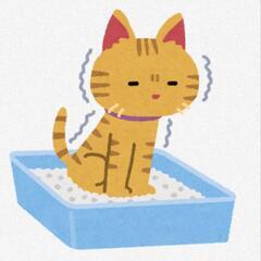 🐱猫ちゃんトイレと交換希望です🐱