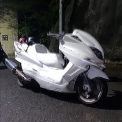 マジェスティの画像