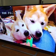 東芝レグザ　REGZA　58インチ　大画面　58Z9X