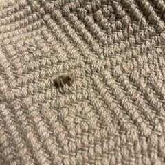 キッチンマットの画像