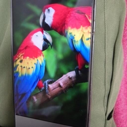 AQUOS スマートフォン✨