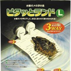 亀　陸地2個セット