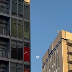 電話相手募集