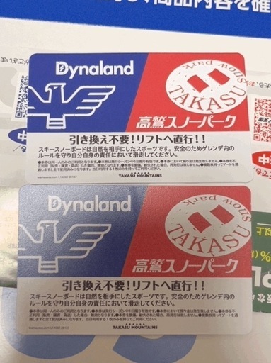 ダイナランド  高鷲スノーパーク 共通リフト券