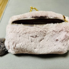 ⭐︎新品未使用⭐︎earth music&ecologyポシェットの画像
