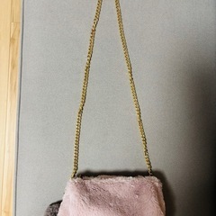 ⭐︎新品未使用⭐︎earth music&ecologyポシェットの画像