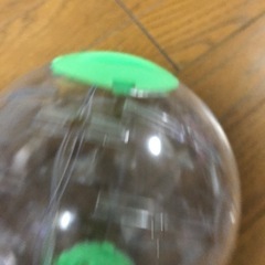 ハムスター　ボール　の画像