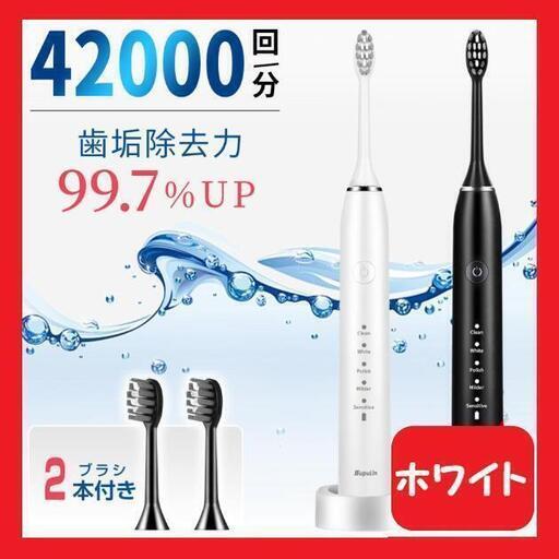 【大特価】電動歯ブラシ 音波式 IPX7防水 42000回転 ワイヤレスホワイト