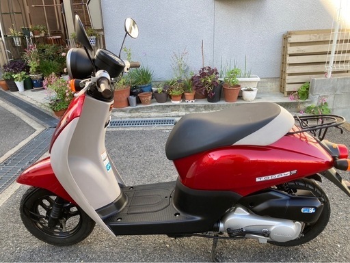 ホンダ　トゥデイF  AF67 FI  中期モデル　美車　整備済み　不具合無し　調子良いよ！　引き取り限定　動画あり ホンダトゥデイF AF67 FI 中期モデル美車整備済み不具合無し調子良いよ