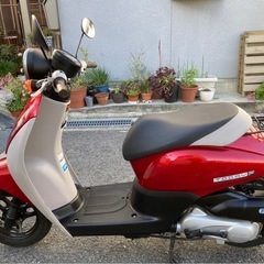 ホンダ　トゥデイF  AF67 FI  中期モデル　美車　整備済み　不具合無し　調子良いよ！　引き取り限定　動画あり の画像