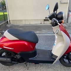 ホンダ　トゥデイF  AF67 FI  中期モデル　美車　整備済み　不具合無し　調子良いよ！　引き取り限定　動画あり の画像