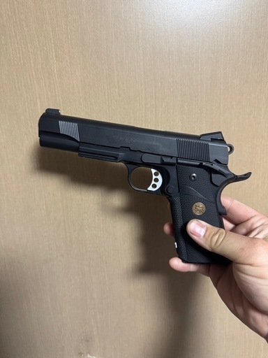   サバゲー co2ガスガン18歳 