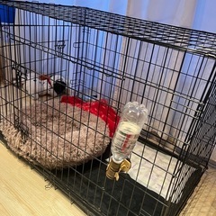 犬用ケージの画像
