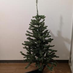 【無料】クリスマスツリー　差し上げます。取りに来られる方！
