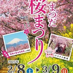 3/1土 まつだ桜まつり 松田山