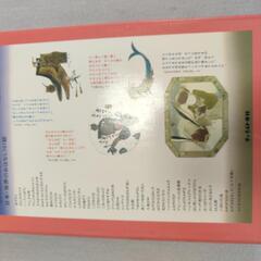 日本・世界のおはなし101話 の画像