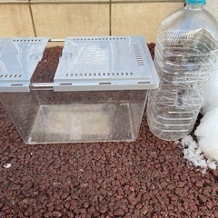 ダイソーの水槽、虫かご