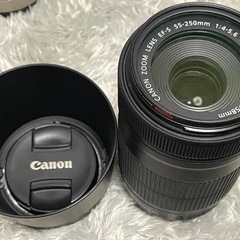 キャノン CANON EOS 80D レンズ5本セット +付属品多数-四季繪百選