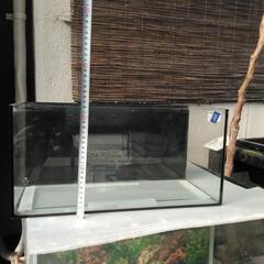 硝子水槽の画像
