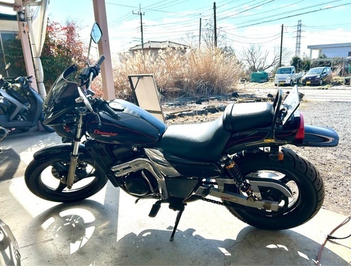 大幅値引❗️エリミネーターEL250