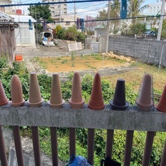 産卵筒