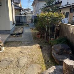 宅地内の植木を処分します。掘り起こしていただいてくださる方よろしくお願いします。の画像
