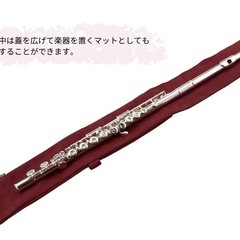 新品未開封⭐︎ネイビー anello×PEARL FLUTE フルートケースポーチの画像