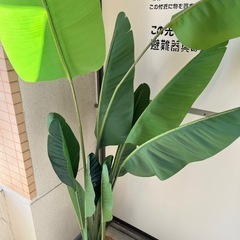 人工パームツリー